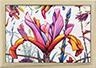 Dutch Iris Interpretattion 2